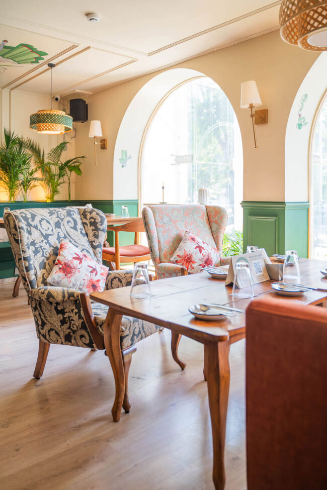 DSC00938-Enhanced-NR